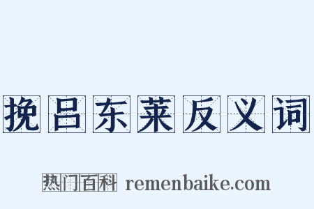 挽吕东莱反义词是什么意思的图片